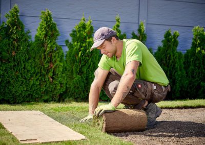 Zwei erfahrene Gärtner/Gärtnerinnen für Garten- und Landschaftsbau (w/m/d)